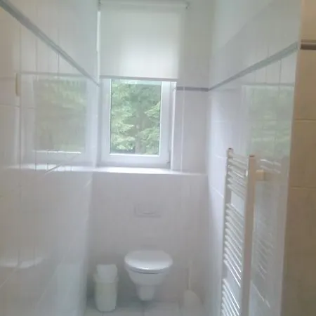 Hotel Golden Guest house Harrachov