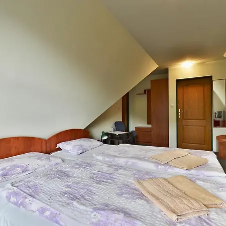 Guest house Hotel Golden 3*